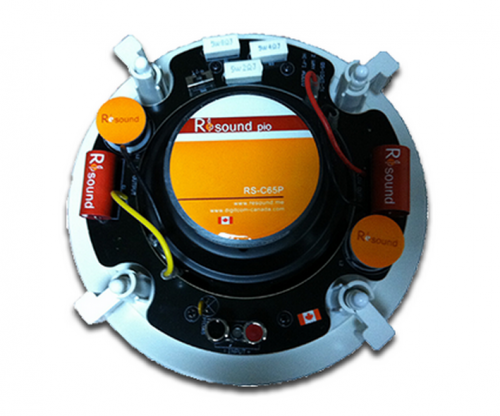 Потолочные колонки 6.5", 50W (пара)